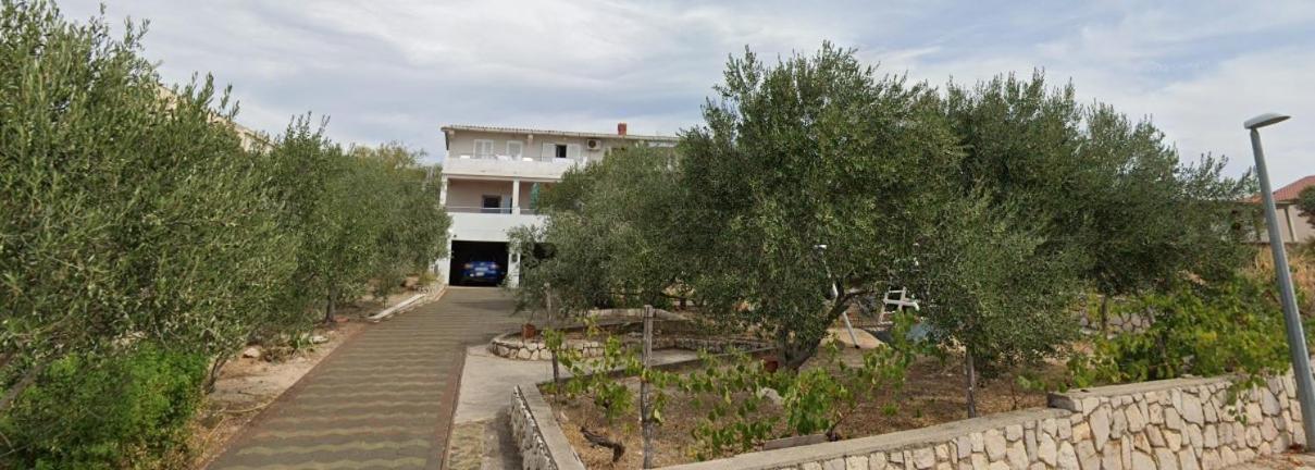 Apartment Gligora Mandre Exterior photo